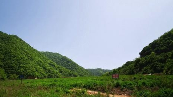 矿山之翼 ——走马嵩县庙岭金矿有限公司