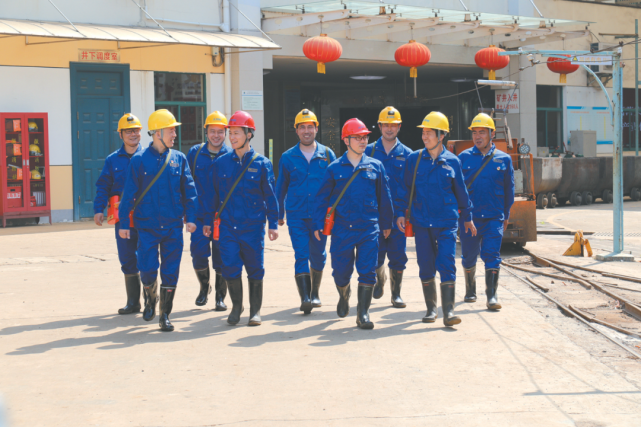 大道银茂 逐绿前行