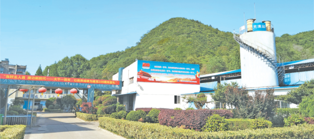 大道银茂 逐绿前行