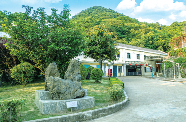 大道银茂 逐绿前行