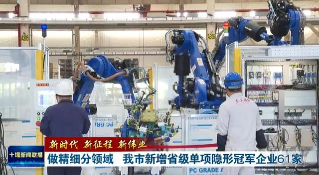 做精细分领域,十堰新增省级单项隐形冠军企业61家