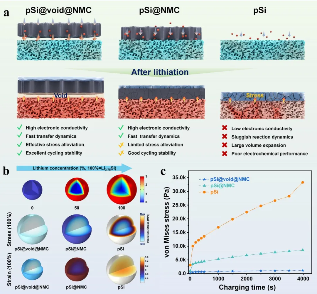 高校硅基负极材料研究新进展：多级结构设计与性能优化突破