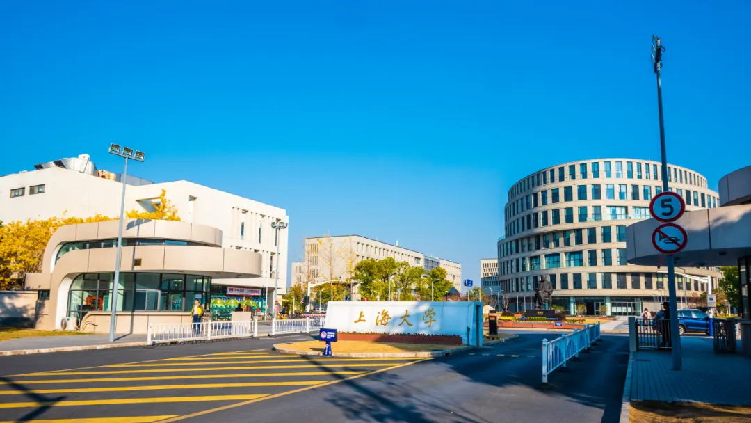 高校硅基负极材料研究新进展：多级结构设计与性能优化突破